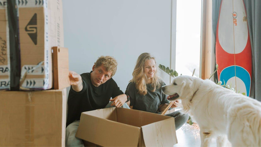 Eco-freundliche Umzugstipps für Haustierbesitzer