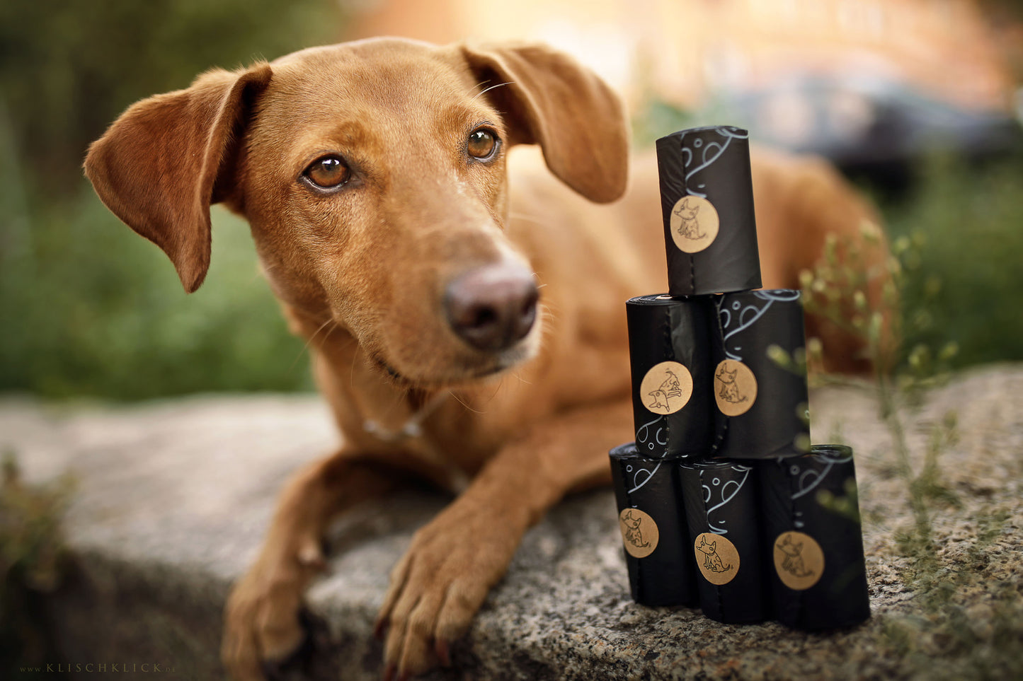 HUNDEKOTBEUTEL BIOLOGISCH ABBAUBAR