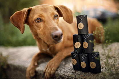 HUNDEKOTBEUTEL BIOLOGISCH ABBAUBAR