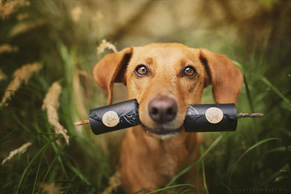 HUNDEKOTBEUTEL BIOLOGISCH ABBAUBAR