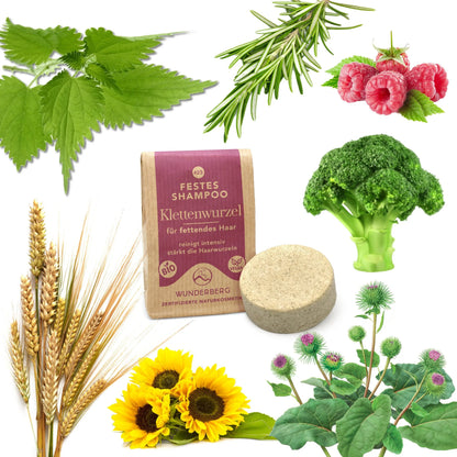 SHAMPOO FIRM BURDOCK ROOT