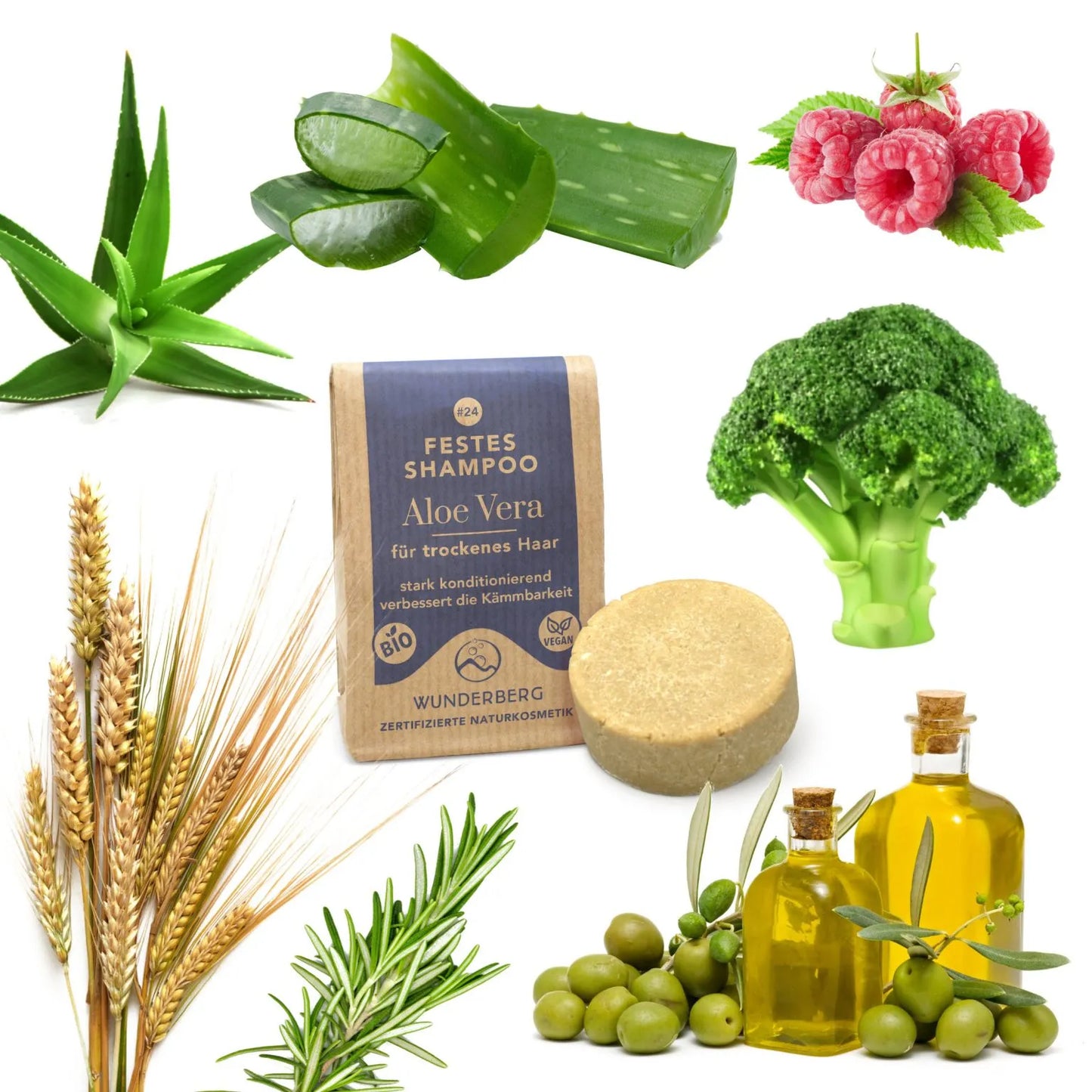 SHAMPOO FEST ALOE VERA