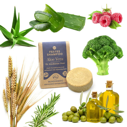 SHAMPOO FEST ALOE VERA