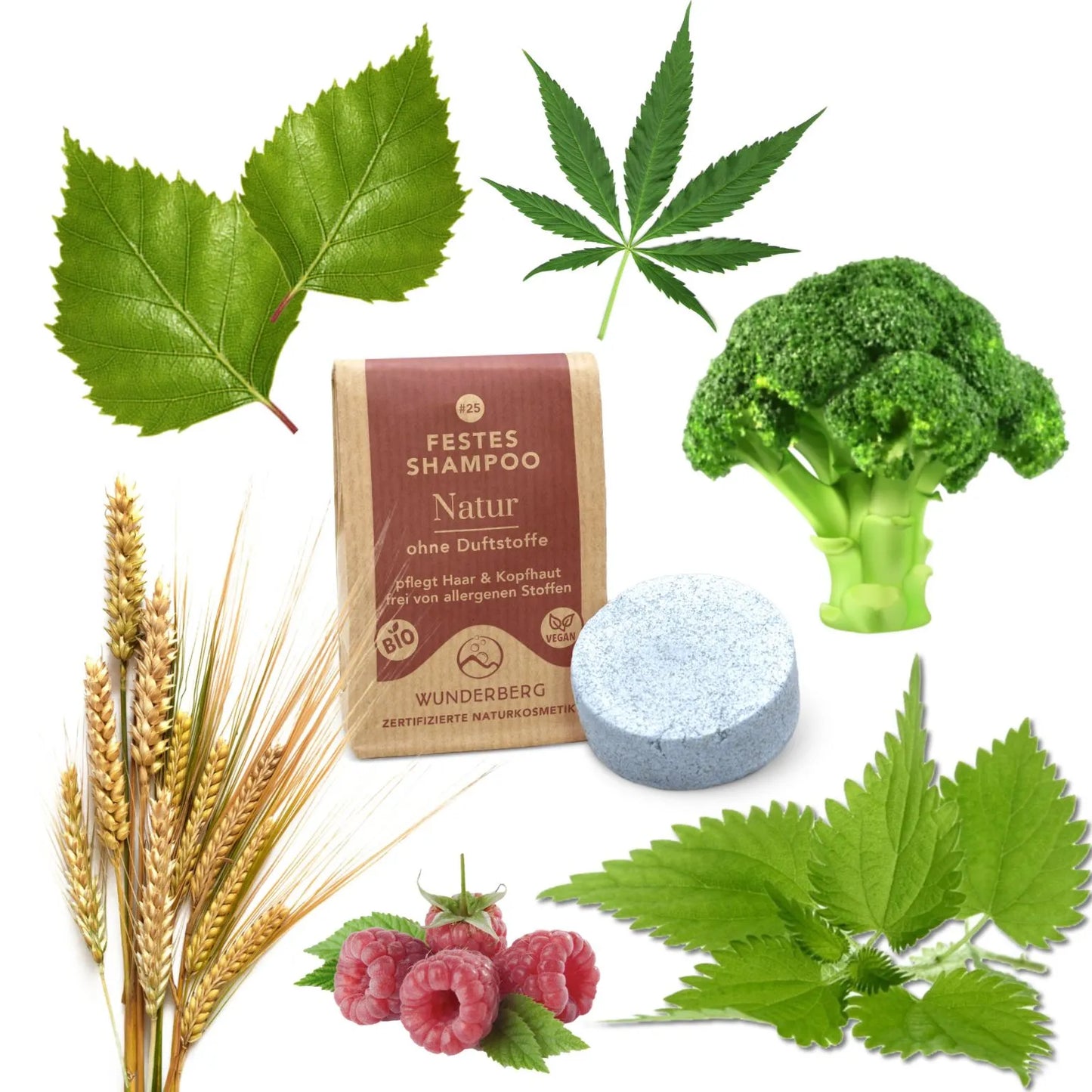 SHAMPOO SOLID NATURAL