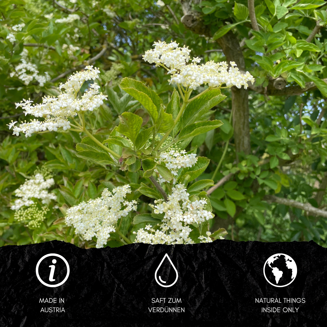 Elderberry Mountain Pine Syrup