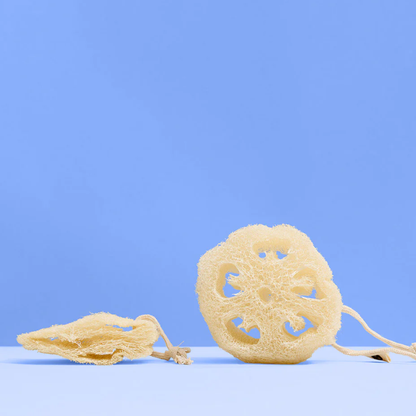 NATURAL SPONGE LUFFA