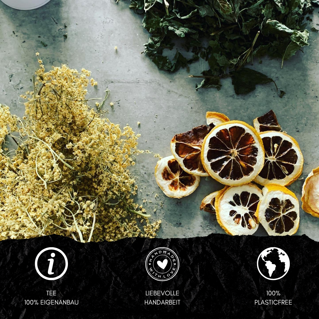 COLD TEA REFRESHING SABINE